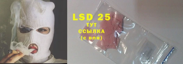 ПСИЛОЦИБИНОВЫЕ ГРИБЫ Абаза