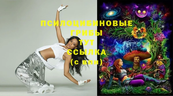 ПСИЛОЦИБИНОВЫЕ ГРИБЫ Абаза