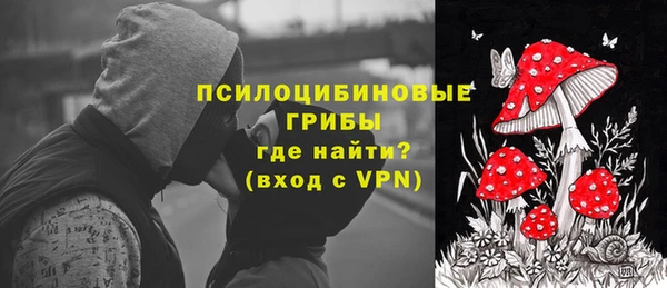 ПСИЛОЦИБИНОВЫЕ ГРИБЫ Абаза
